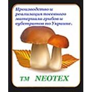 Логотип компании Neotex (Конотоп)