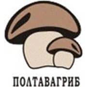 ООО «Полтавагриб»