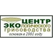 Логотип компании Центр экологического грибоводства (Одесса)