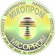 Микопром