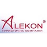 Логотип компании Алекон (Хмельницкий)