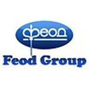 Логотип компании Feod Group (Киев)