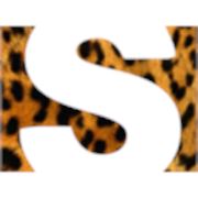 Логотип компании Swaga (Свэга) (Севастополь)