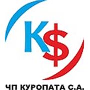 Логотип компании ЧП Куропата С.А. (Днепр)