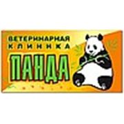 Логотип компании Ветеринарная клиника «Панда» (Донецк)