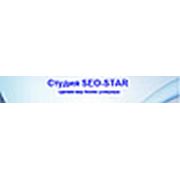 Логотип компании Seo-Star (Киев)