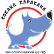 Логотип компании кц“собака барабака“ (Донецк)