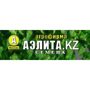 Логотип компании Аэлита КZ ,ИП (Караганда)