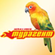 Логотип компании Сеть офисов “Турагент“ (Киев)