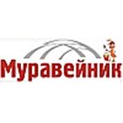 Логотип компании ТЦ «МУРАВЕЙНИК» (Ижевск)