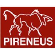 Логотип компании OOO “Пиренеус“ (Москва)