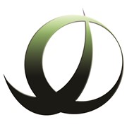 Логотип компании Деловые Финансы, ТОО (Астана)