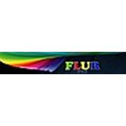 Логотип компании «FLURstyle» (Минск)