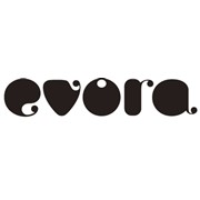 Логотип компании Торговый Дом Эвора, ООО (Москва)