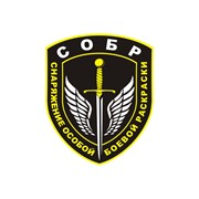 Логотип компании С.О.Б.Р. Снаряжение Особой Боевой Раскраски, ЧП (Киев)