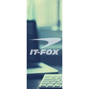 Логотип компании IT FOX (Житомир)