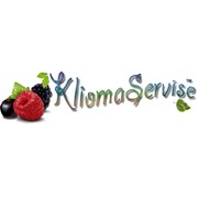 Логотип компании Клиома Сервис, ЧП (Киверцы)