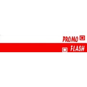 Логотип компании Промо-Флеш, ЧП (Киев)
