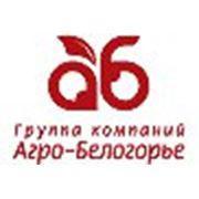 Агро Белогорье Интернет Магазины Белгород