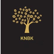 Логотип компании KNBK, ЧП (Киев)