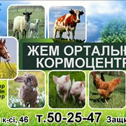 Логотип компании ТОО “Крупы Востока“ (Усть-Каменогорск)