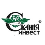 Логотип компании Скания Инвест (Москва)