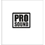 Логотип компании Pro-Sound (Минск)