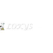 Логотип компании LOKYS (Локис), ТОО (Алматы)