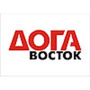 Логотип компании ЧУП “ДОГА ВОСТОК“ (Минск)