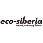 Логотип компании ECO-SIBERIA, Ltd (Иркутск)