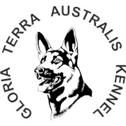 Логотип компании Глория Терра Австралис, БФ (Одесса)