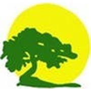 Логотип компании ООО “Форест“ (Ульяновск)