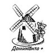Логотип компании ООО “Доминанта+“ (Тюмень)