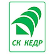 Логотип компании ООО «Кедр» (Омск)