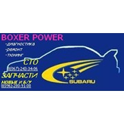 Логотип компании Боксер Повер (Boxer Power), СПД (Вишневое)