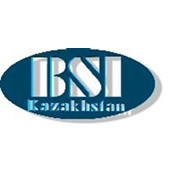 Логотип компании BSI Kazakhstan (БСИ Казахстан) (Алматы)