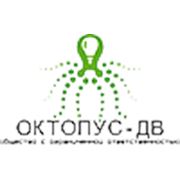 Логотип компании ООО «Октопус — ДВ» (Хабаровск)