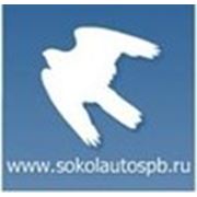 Логотип компании Сокол-Авто (Санкт-Петербург)