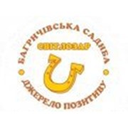Логотип компании Светлозар мастерская, ЧП (Дергачи)