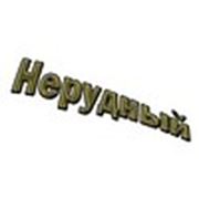Логотип компании ИП Самсонов Сергей Игоревич (Краснодар)