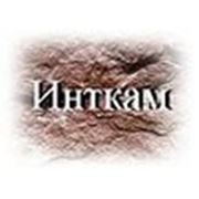 Логотип компании “Инткам“ (Хабаровск)