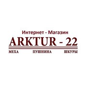 Логотип компании Arktur-22 (Арктур-22), ИП (Москва)