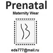 Логотип компании Prenatal (Пренаталь), ИП (Алматы)