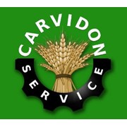 Логотип компании Carvidon Service( Карвидон-Сервис),SRL (Чадыр-Лунга)