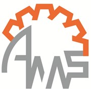 Логотип компании AMS Industrial Group (Шымкент)
