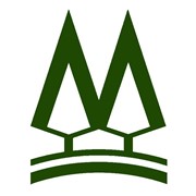 Логотип компании Мостовдрев (Мосты)