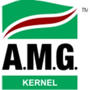 Логотип компании SC AMG Kernel, SRL (Сорока)