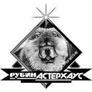 Логотип компании Рубин астерхаус, ИП (Новоуральск)