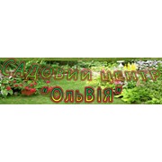 Логотип компании Садовый центр Ольвия, ООО (Ивано-Франковск)