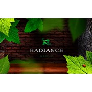 Логотип компании Radiance, ИП (Алматы)